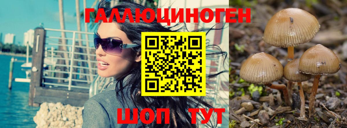 Галлюциногенные грибы MAGIC MUSHROOMS  Псилоцибиновые грибы Cubensis  Вход с VPN  Ахтубинск 